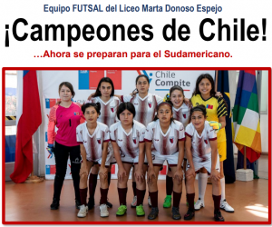 Lee más sobre el artículo ¡Campeonas de Chile!