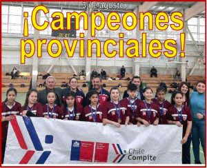 Lee más sobre el artículo Campeonas Provinciales en Futsal